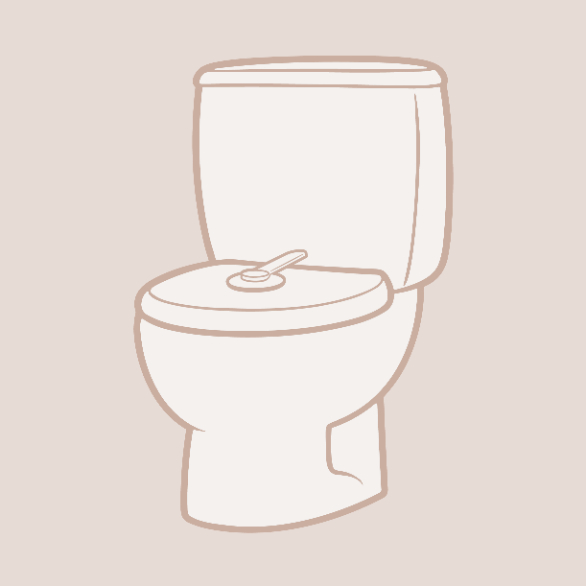 Toilet Locks