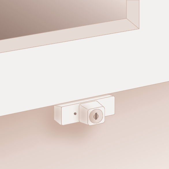 Window Locks