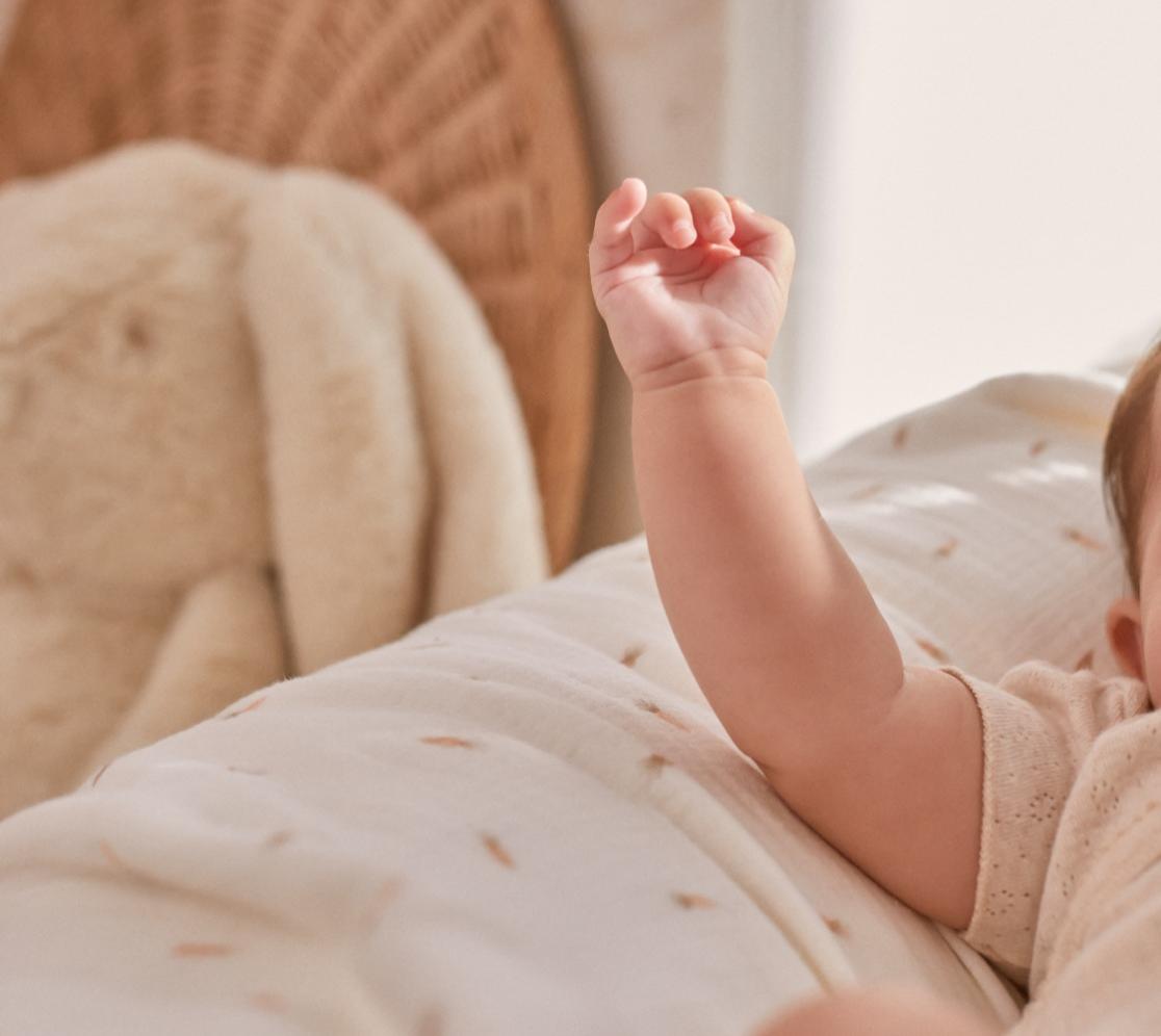 Swaddle Carrots | REF.: OWM/00046 A