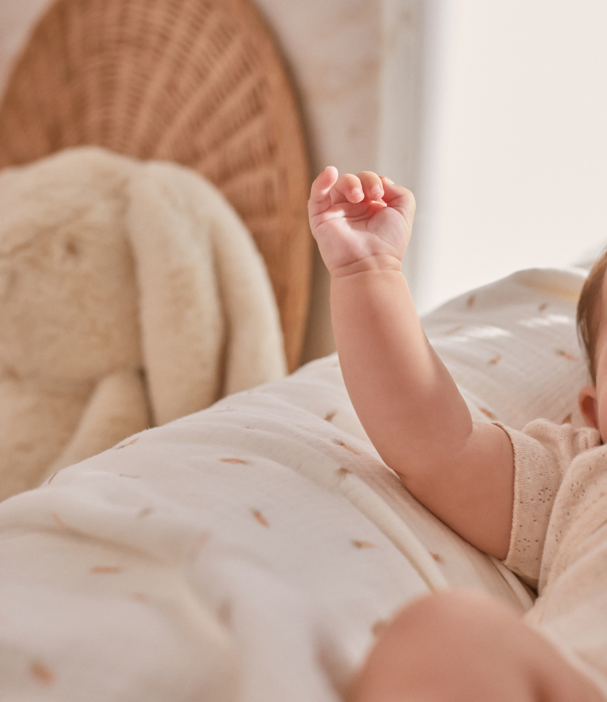 Swaddle Carottes | REF.: OWM/00046 A