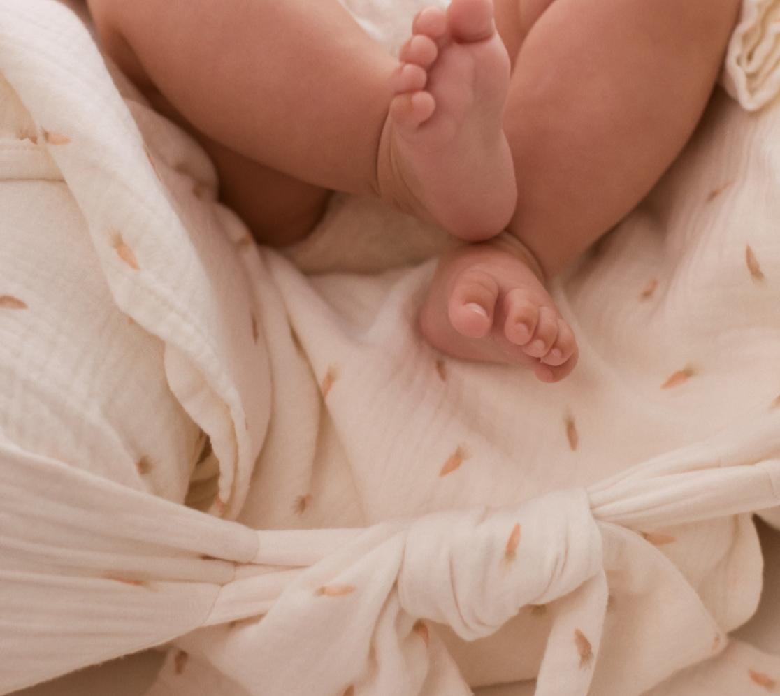 Swaddle Carrots | Home | Bedding | Print rabbits